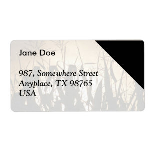 Corn field silhouettes