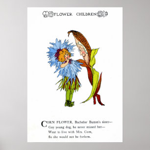 Corn Flower Poster