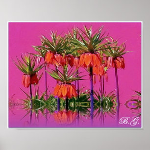 Corn/Fritillaria imperialis Poster