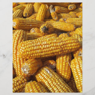 Corn Harvest