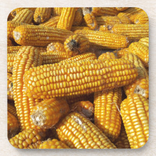 Corn Harvest Coaster