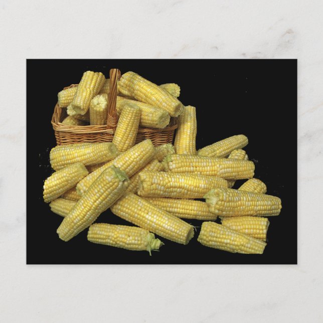 Corn Harvest Postcard (Front)