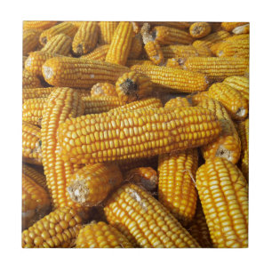 Corn Harvest Tile
