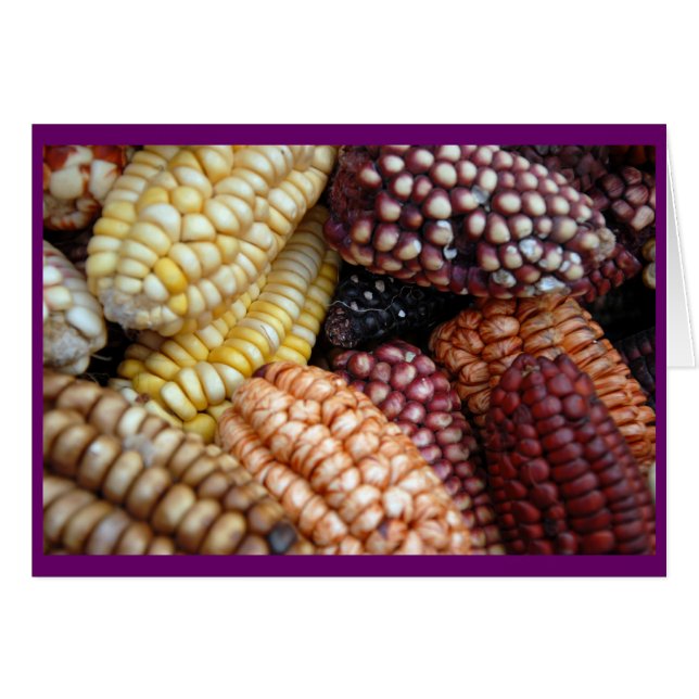 Corn in Cusco Market (Front Horizontal)