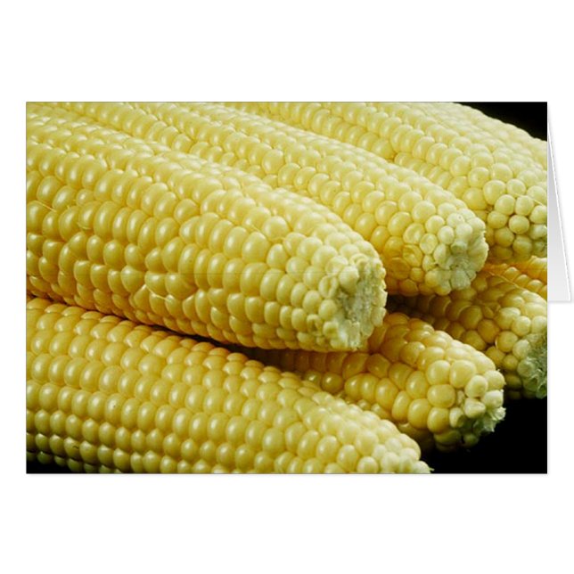 Corn on the Cob (Front Horizontal)