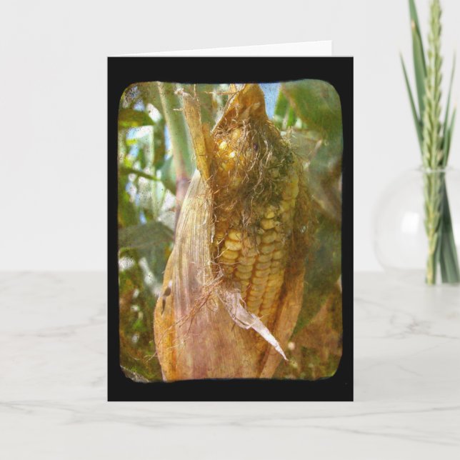 Corn On The Cob Card (Front)