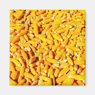 Corn on The Cob Magnet