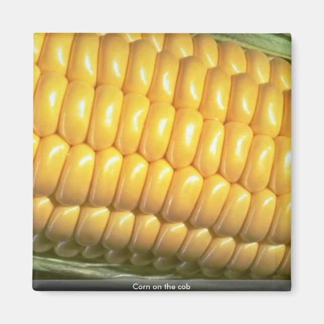 Corn on the cob magnet (Front)