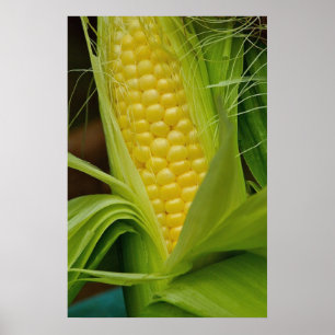 Corn on the cob poster