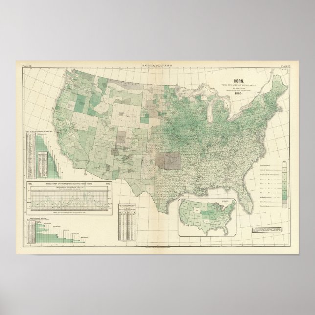 Corn per acre planted poster (Front)