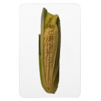 Corn Photot Magnet