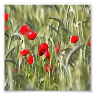 Corn Poppies Photo Print