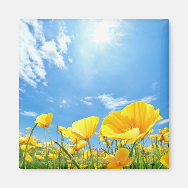 Corn Poppy Field Magnet (Front)