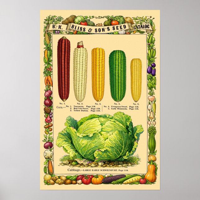 Corn Retro Victorian Era Botanical Art Poster (Front)