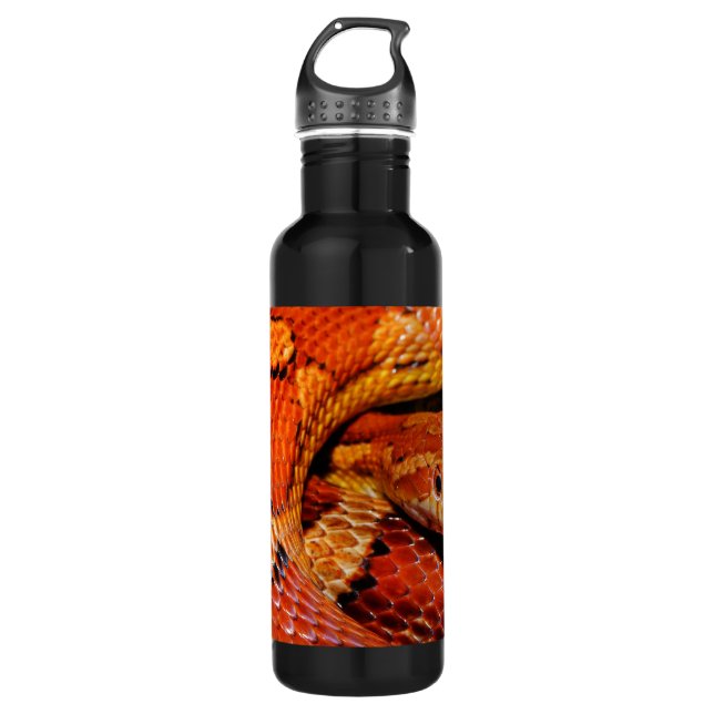 Corn Snake 710 Ml Water Bottle (Front)