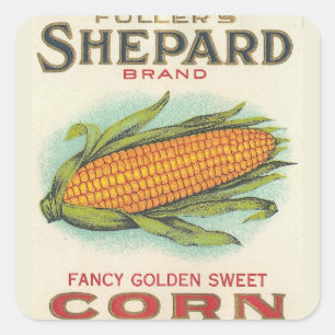 Corn Square Sticker