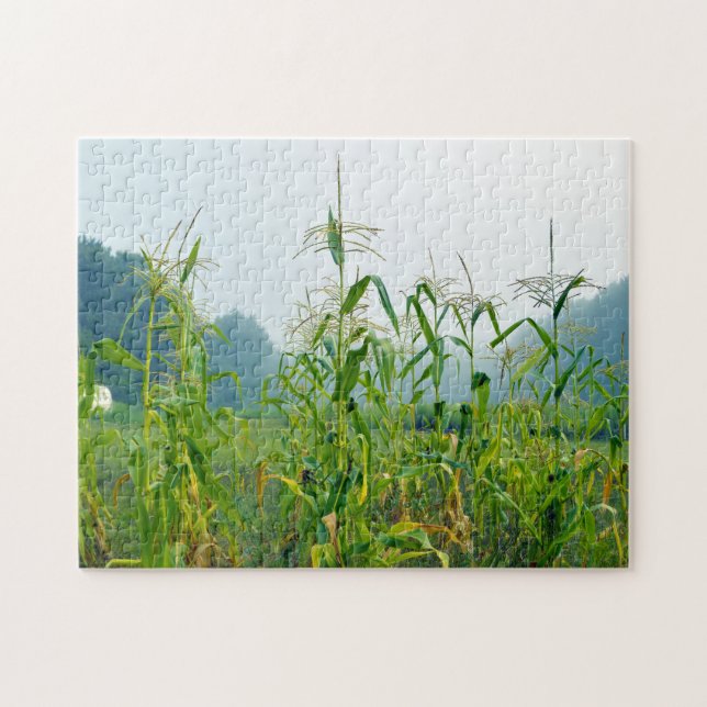 Corn Stalks Wisconsin. Jigsaw Puzzle (Horizontal)