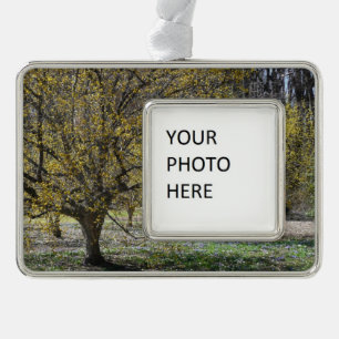 Cornelian Cherry Dogwood and Glory of the Snow Silver Plated Framed Ornament