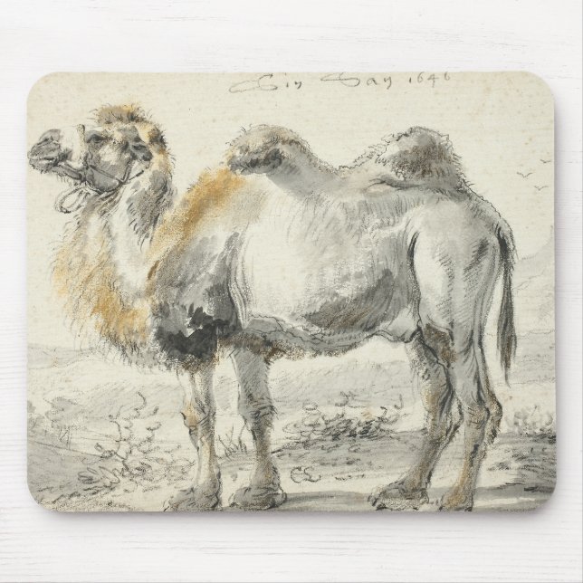 Cornelis Saftleven - A Camel Mouse Pad (Front)