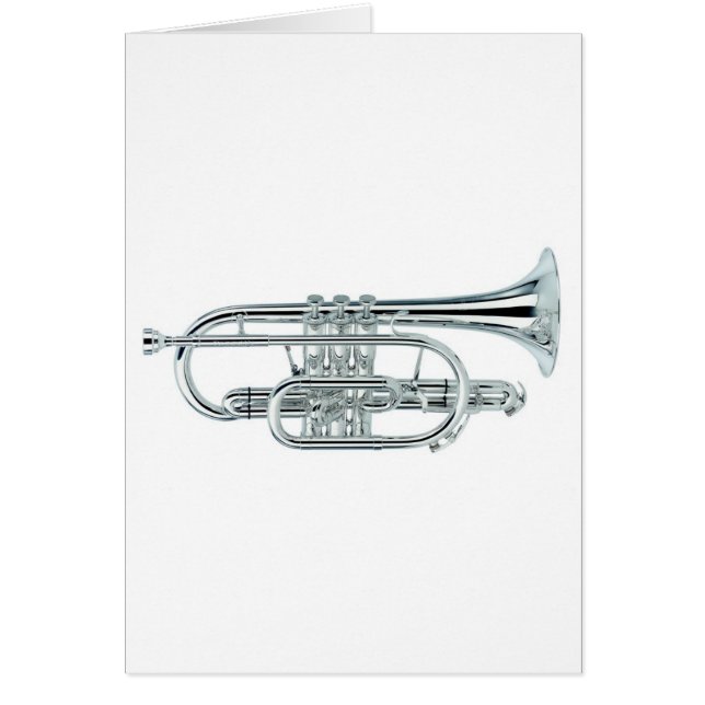 Cornet (Front)