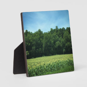 Cornfield in Rural North Carolina Plaque