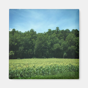 Cornfield in Rural North Carolina Poster Magnet