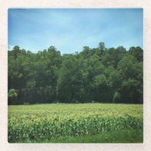 Cornfield in Rural North Carolina Poster Magnet Ke Glass Coaster