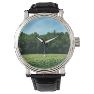 Cornfield in Rural North Carolina Watch