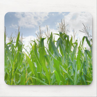 Cornfield mousepad