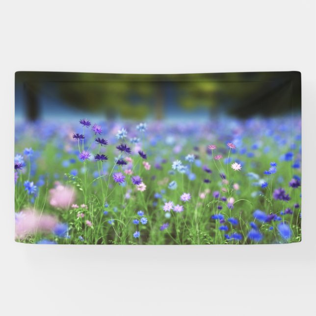 Cornflower Blue Banner (Horizontal)