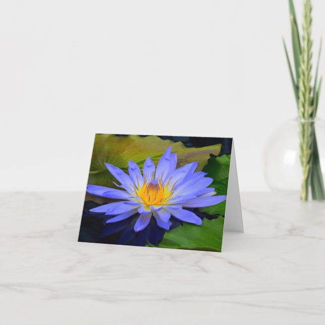 Cornflower Blue Big Water Lily Note Greeting Cards (Front)