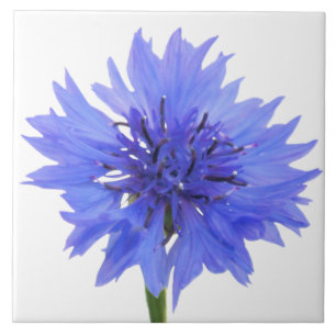 cornflower blue tile