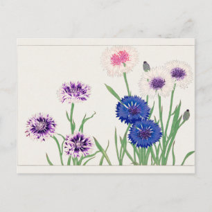 Cornflower by Tanigami Konan Postcard