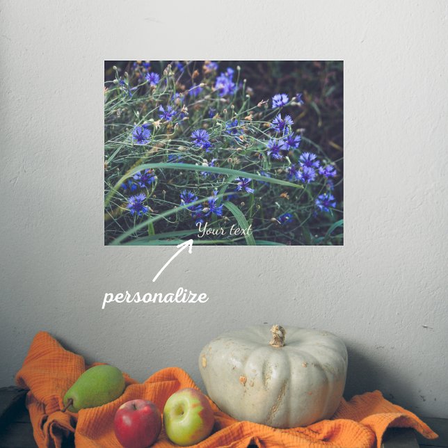 Cornflower field poster (Creator Uploaded)