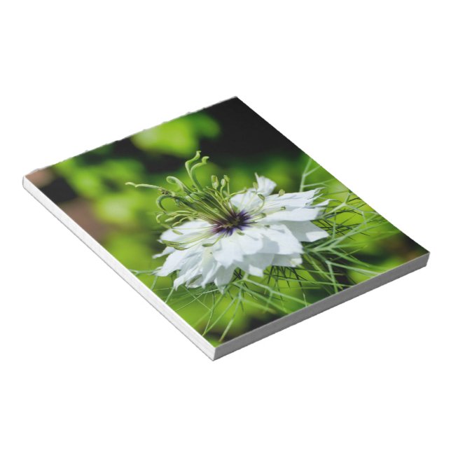 Cornflower Notepad (Angled)