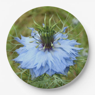 Cornflower Paper Plates