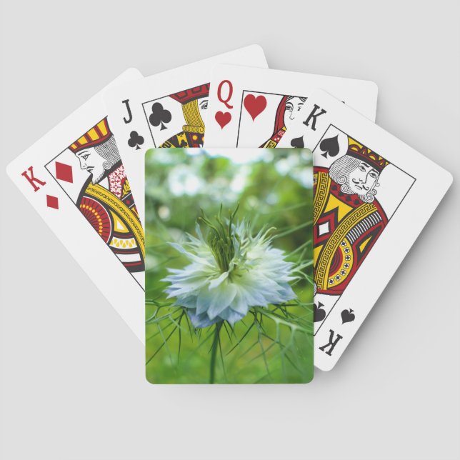 Cornflower Playing Cards (Back)