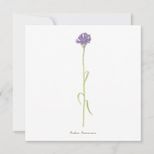 Cornflower watercolor card