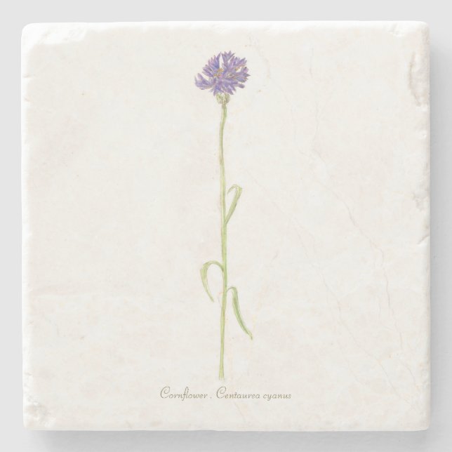 Cornflower watercolor  stone coaster (Front)