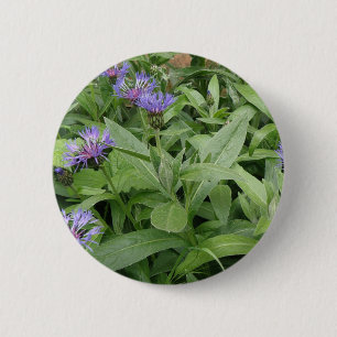 Cornflowers Button