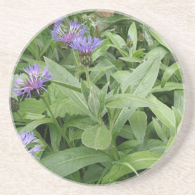 Cornflowers Coasters (Front)