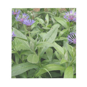 Cornflowers Notepad