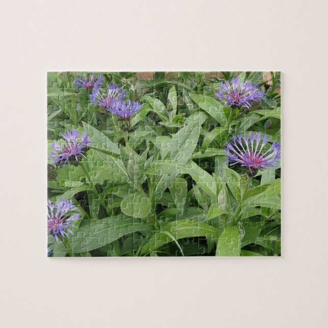 Cornflowers Puzzle (Horizontal)