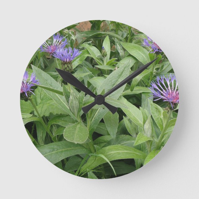 Cornflowers Wall Clock (Front)