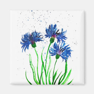 Cornflowers watercolour magnet