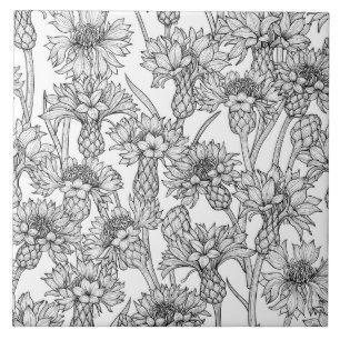 Cornflowers, wild flowers in black and white ceramic tile