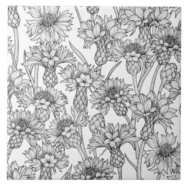 Cornflowers, wild flowers in black and white ceramic tile (Front)