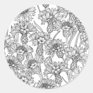 Cornflowers, wild flowers in black and white classic round sticker