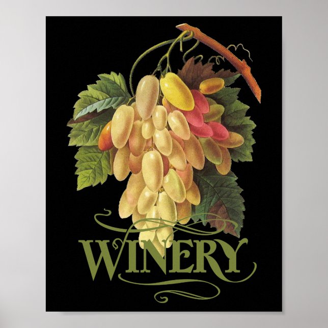 Cornichons blancs Grapes Poster (Front)