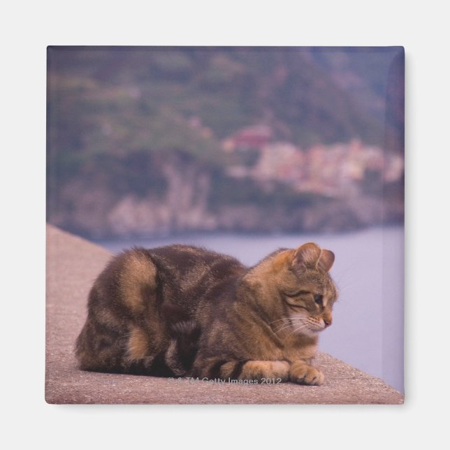 Corniglia, Cinque Terre, Italy Magnet (Front)